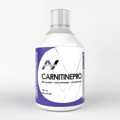 NUTRIYUMMY L-CARNITINE 3000mg 480 Ml